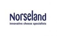 Healthywork Clients - Norseland