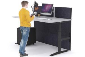 sit and stand ergonomic assessment